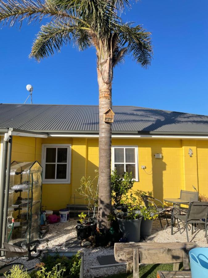 Ki Dragonfly Guesthouse Kingscote Dış mekan fotoğraf