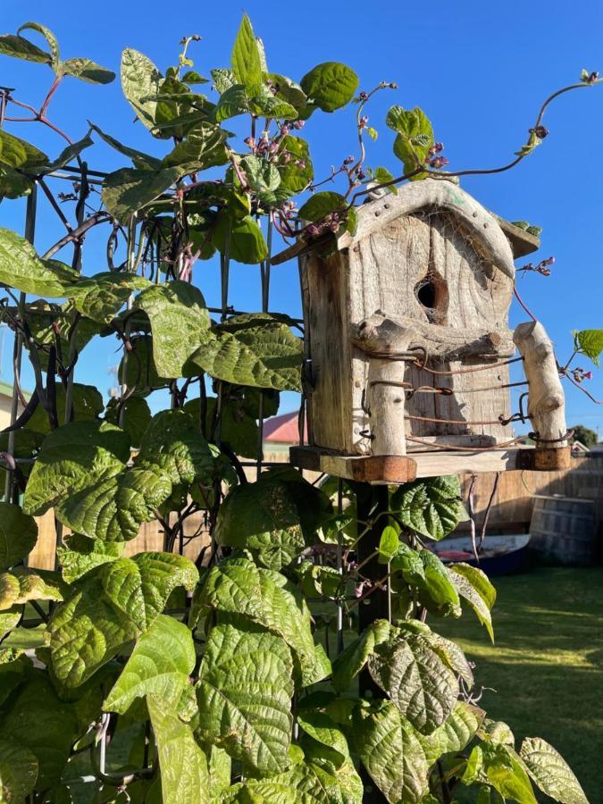 Ki Dragonfly Guesthouse Kingscote Dış mekan fotoğraf