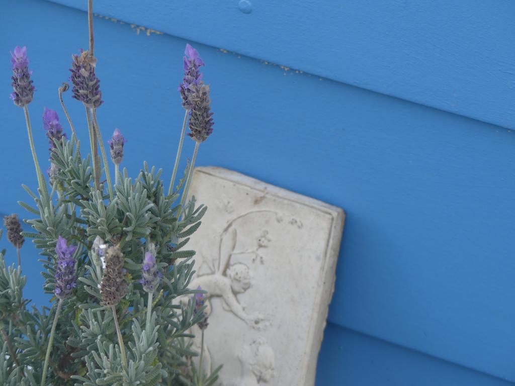 Ki Dragonfly Guesthouse Kingscote Dış mekan fotoğraf